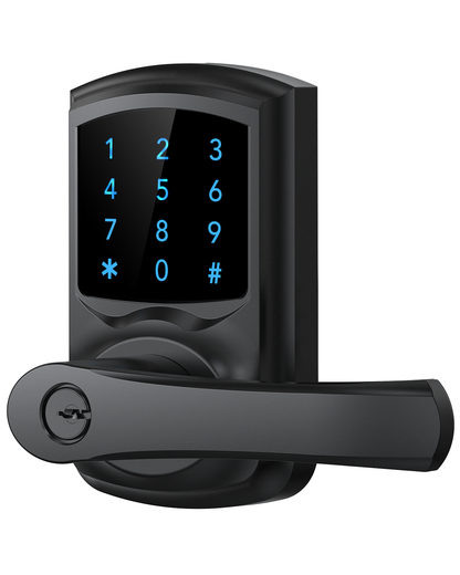 HL668 Touchscreen Keyless Entry Door Lock with Handle