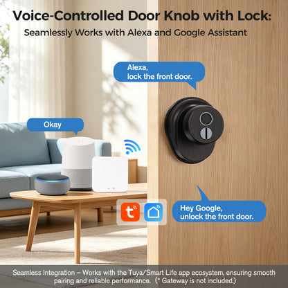 310FK Fingerprint & Bluetooth Smart Door Knob for Keyless Entry