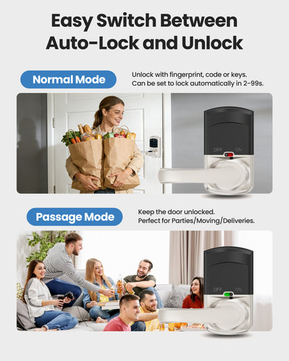 669FL Fingerprint Door Lock with Handle Biometrics Deadbolts