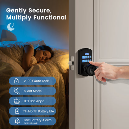 HL-300K Smart Door Knob with Keypad