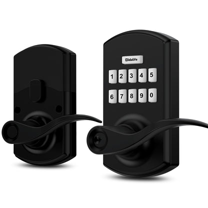 HL-300L Keypad Door Lock with Handle