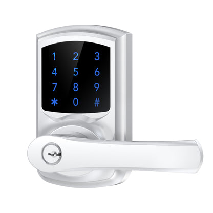 HL668 Touchscreen Keyless Entry Door Lock with Handle